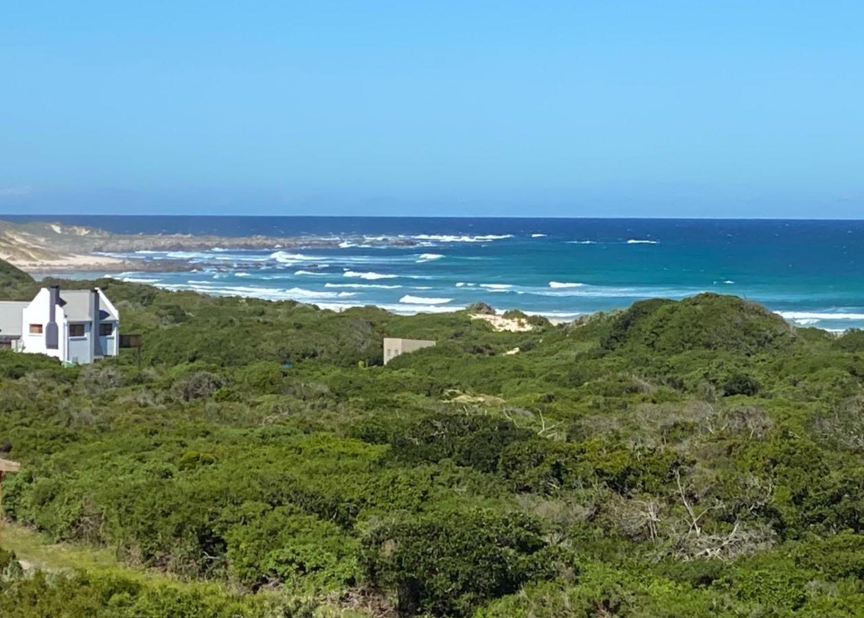 Вілла A Real Gem In Cape St Francis Кейп-Сен-Франсіс Екстер'єр фото